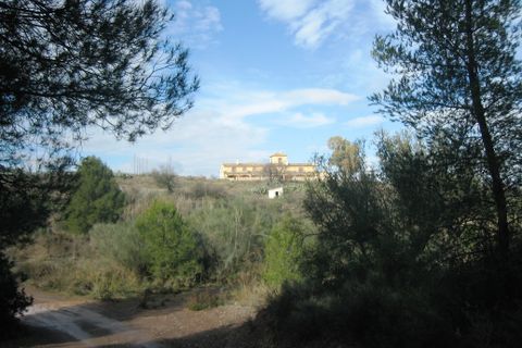 Cortijo i Ortillo, Murcia, Ortillo - € 510.000 | Ref: CAS_478 - foto 17